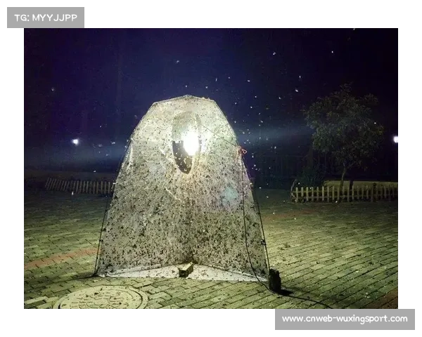 十五运会网球赛夜间现飞蛾干扰,官方澄清系趋光性昆虫非蟑螂